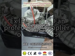 Lâmpadas LED à prova de explosão ATEX RoHS com Cree Bead 180lm/watt para zonas perigosas 1