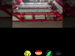 Lâmpada fluorescente de aço inoxidável Grp à prova de explosão