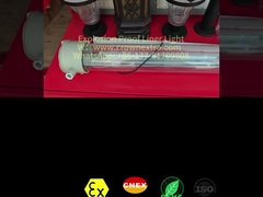 Lâmpada fluorescente de aço inoxidável Grp à prova de explosão