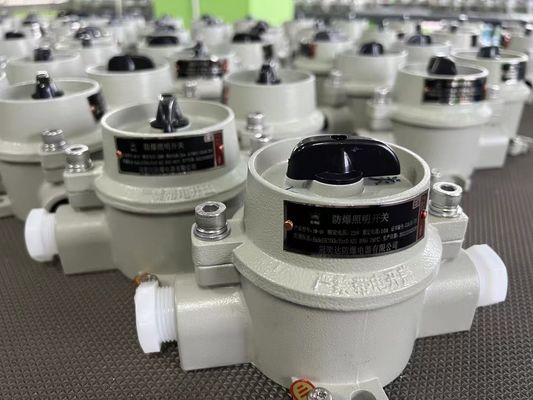 Interruptor de seleção elétrica à prova de explosão 220V / 380V com WF2 Zona cinzenta 22