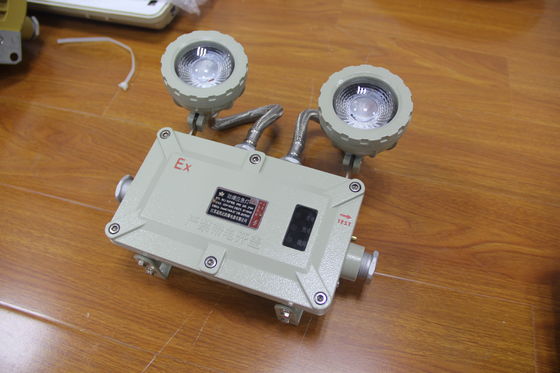 2x3Watt Luz de emergência à prova de chama Alumínio de qualidade naval OEM Iluminação à prova de explosão pesada para a indústria