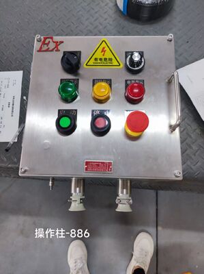 Caixa de junção à prova de explosão em aço inoxidável com furo personalizável M/G/NPT Exd II C T6 Gb Ex-Mark