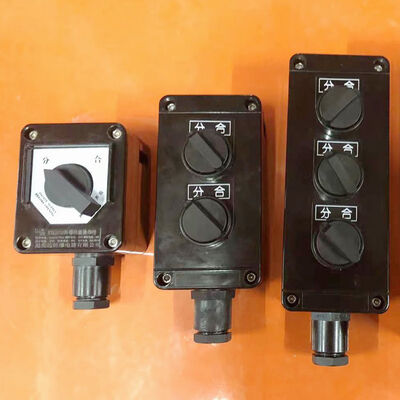 Disjuntor Isolador à Prova de Explosão Equipamento à Prova de Explosão Oferecendo Entrada de Cabo G12 Proteção IP65 WF1 WF2 para Proteção contra Perigos