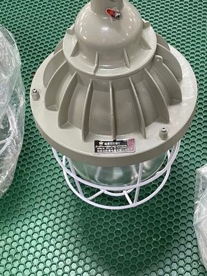 Lâmpada HID à prova de explosão certificada ATEX de alta potência 200W 400W Montagem no teto/pendente/parede Consumo de energia 150-400 Watts