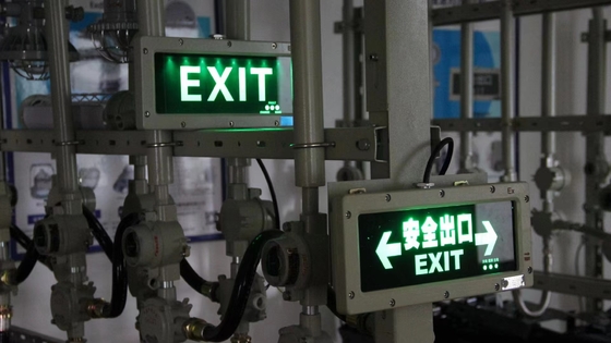 Luzes de Saída de Emergência à Prova de Explosão Compactas OEM – IRC ≥70, Certificadas ATEX / IECEx / RoHS / CNEX / ISO9001, Design Personalizável para Áreas Perigosas