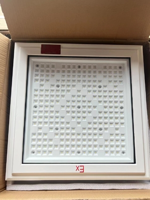 Ip66 resistente à água Lâmpadas LED para locais perigosos Tempo de vida útil longo 500000 horas