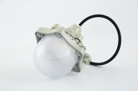 100W Explosion Proof High Bay Light AC220V 50/60Hz IP66 com 70±2CRI Novo design Produtos mais vendidos