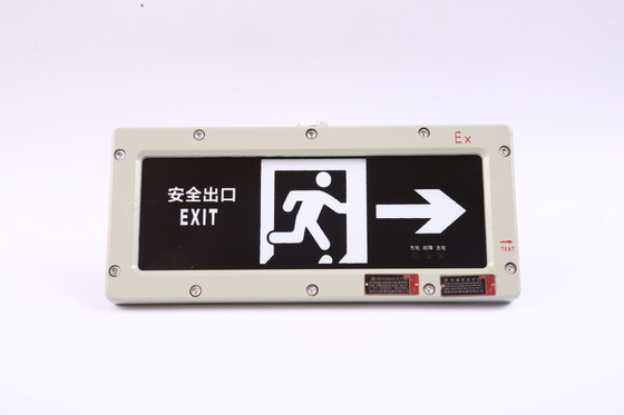 BYY-3w-IP65 Luz de emergência à prova de chama 120 min LED 220VAC 24/36VDC 3000/4000/5000/5700K