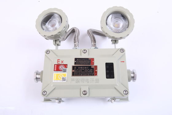 ATEX Explosion-Proof 2*3W LED Emergency Light IP66 Explosion-proof Gas Station Double Headlight 220V 380V