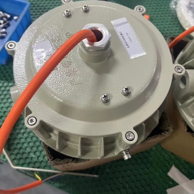 Lâmpadas ignífugas 50W/100W à prova de explosão CE TUV Ex Certificado