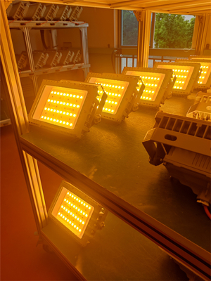 50W 100W 200W 250W Luz LED à prova de explosão Certificado ATEX IECEx RoHS CNEX ISO9001
