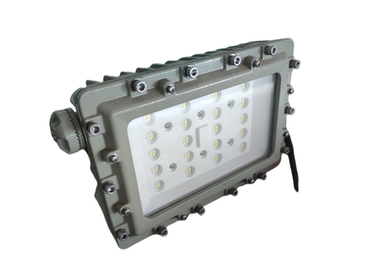 Lâmpadas LED industriais à prova de explosão classificadas DIV 1 100~250W 160lm/w