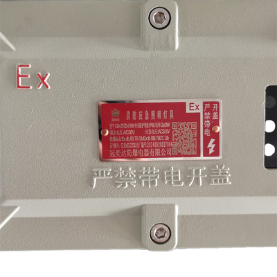 Luz de emergência à prova de explosão com certificação ATEX – Iluminação de segurança LED compacta para ambientes industriais perigosos