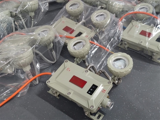 Luz de emergência à prova de fogo da zona 1 2*5 Watt para aplicações marítimas