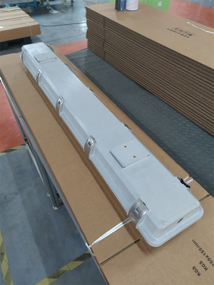 2*36W Luz fluorescente à prova de explosão IP66 WF2 Nível de proteção IECEx aprovado para a Zona1 2 Zona21 22 Ambiente perigoso
