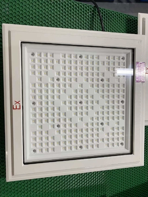 Luz de inundação LED à prova de explosão com lâmpada CREE e categoria 50-240Watt