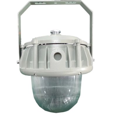 Luzes de alto brilho LED à prova de explosão, isentas de manutenção e certificadas pela IECEx, disponíveis com tampas planas/cúpulas personalizáveis