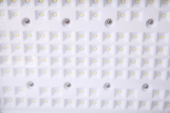 Holofote LED à prova de explosão personalizável de 50–240W | Chips CREE | Certificado ATEX para áreas perigosas