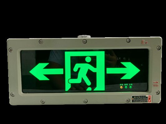 Luz de emergência de fuga de 3W 120 180 minutos montada na parede, cores personalizadas, indicadores LED, superfície personalizável para Zona 1 e Zona 2