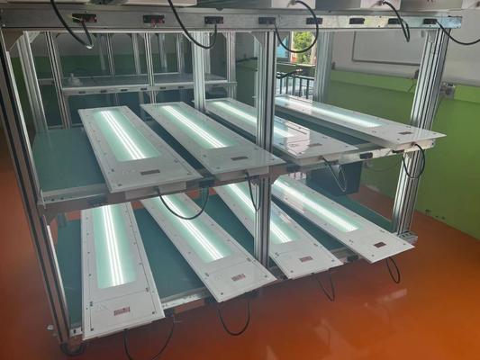 Lâmpada fluorescente à prova de explosão 100lm/w temperatura de cor personalizada 5 anos de garantia