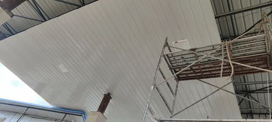 Holofote LED à prova de explosão com tensão nominal de 50-60Hz, certificado CE e potência de 100-250w para aplicações industriais