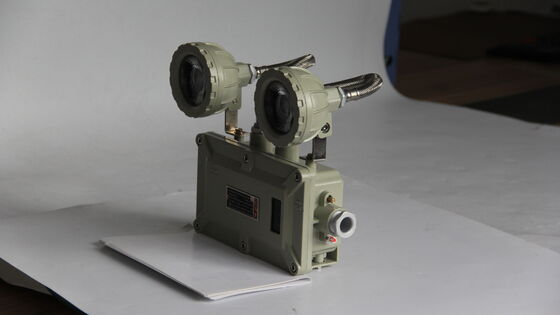 ATEX Explosion-proof LED Emergency Light 220VAC 50HZ 24VDC IP66 Explosion-proof Lamp Double Head