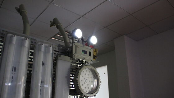 Vidro temperado de liga de alumínio recarregável 220v IP66 LED sinal de saída de emergência luzes de emergência Duração 3 horas