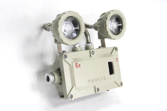 Fabricado na China 220V barato 2×3W/2×5W Ex-Proof luz de emergência parede e teto de montagem