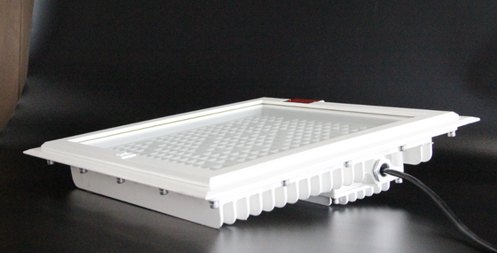 Luz de inundação LED resistente a explosões de alta luminosidade 100-250 W, CCT máxima 5700 K, garantia de serviço de 5 anos para zonas perigosas de estações de gasolina